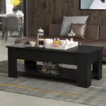 Kivona Fotula Center Table with Storage Space