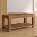 Kivona Modern Center Table with Storage
